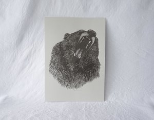 Products: A3 Roaring Bear