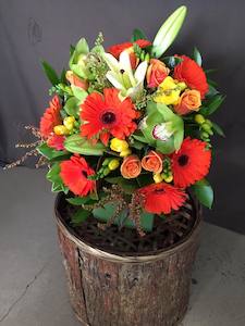 Citrus Arrangement - Albany Florist