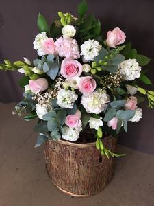 Products: Marshmallow Bouquet - Albany Florist