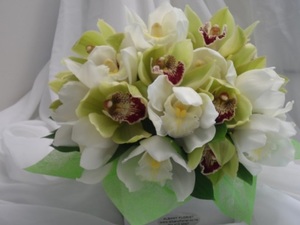 Products: Orchid Box - Albany Florist