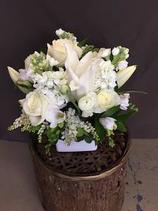 Snow Flake Arrangement - Albany Florist