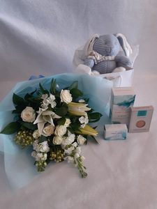 Products: Baby Boy Package - Albany Florist
