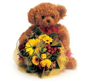 Products: Hello World - Albany Florist