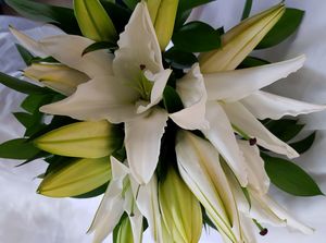 Products: Luscious Lilies Bouquet - Albany Florist