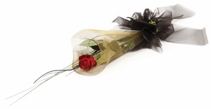 Products: Single Stem Red Rose - Albany Florist