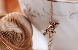 Products: Category: Daily Reboot