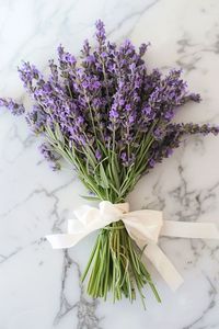 Products: Elderflower vs Lavender: Support Differences