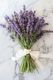 Elderflower vs Lavender: Support Differences
