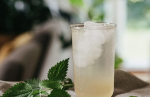 Products: Elderflower vs Nettle: 5 Benefits and Uses