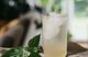 Elderflower vs Nettle: 5 Benefits and Uses