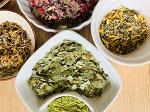 Products: When’s the Best Time to Drink Soursop Leaf Tea?