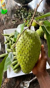 Products: Category: Soursop Tea