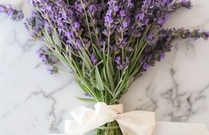 Products: How to Make Elderflower Tea Cordial