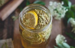 Products: Chilled Elderflower & Cucumber Cold Brew