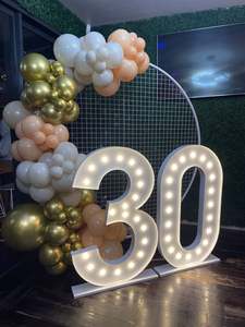 1.2m Light Numbers