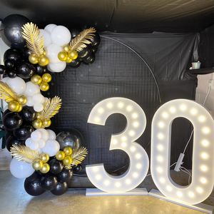 Backdrops And Other Party Extras: Black Mesh Wall