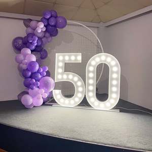 Backdrops And Other Party Extras: White mesh wall