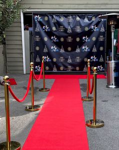 All Service: Luxury Red Carpet & Gold Bollards Package