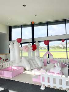 All Service: Mini Pink Soft Play Package
