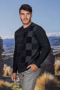 Noble Wilde: Noble Wilde Mens Charcoal Checker Board Crew Neck Sweater