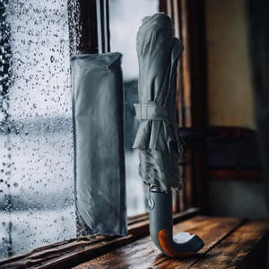 Products: Windproof Folding Umbrella