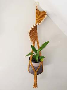 Products: Gene in Mustard