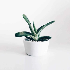 Great things are on the horizon