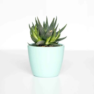 Great things are on the horizon