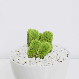 Great things are on the horizon