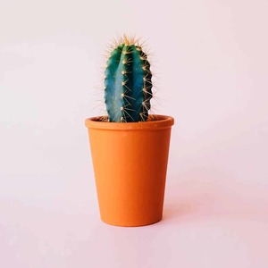 Great things are on the horizon