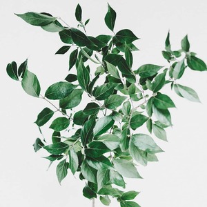 Great things are on the horizon