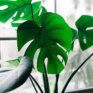 Great things are on the horizon