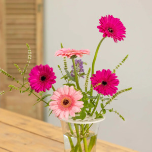 Flower Arranging Disc Sets