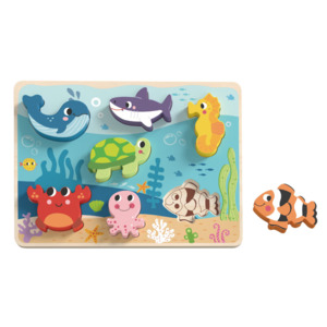 Books And Puzzles: Tooky Toy Chunky Puzzles