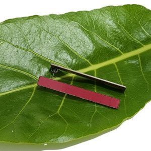 Ladies Jewellery: Earrings - Studs of Steel