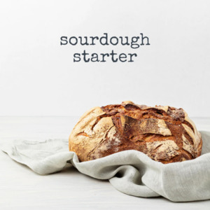 Sourdough Starter