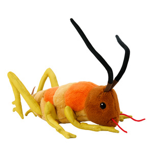 Moana Road Wiremu the Weta Soft Toy
