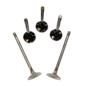 Valve Set, Oversized, 5-Valve Audi/Vw Motors