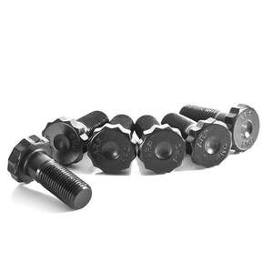 Tts 8j: ARP Heavy Duty VW/Audi Flywheel Bolt - Sold Individually