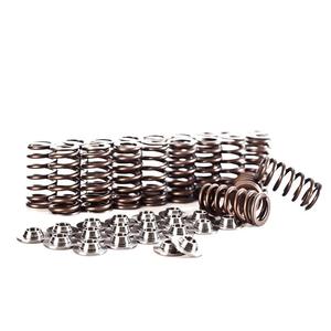 Passat B7: IE Valve Spring & Retainer Kit | Fits VW & Audi 2.5L Engines
