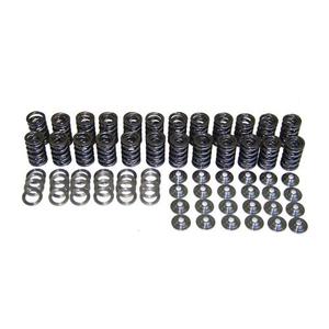 Valve Spring Set With Ti Retainers, 24v Vr6