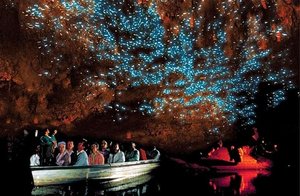 Products: Waitomo Cave Tour - 45 mins Journey - All about New Zealand Travel