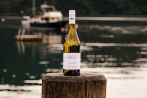 Allan Scott Marlborough Sauvignon Blanc 2025 - Allan Scott
