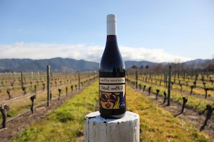 Products: By Josh Scott Deal With It Natural Pinot Noir 2025 - Allan Scott