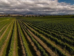 Products: By Josh Scott Marlborough Pétillant Naturel - Allan Scott