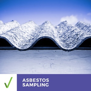 Products: Asbestos Testing & Sampling Reports within 2 Business Days