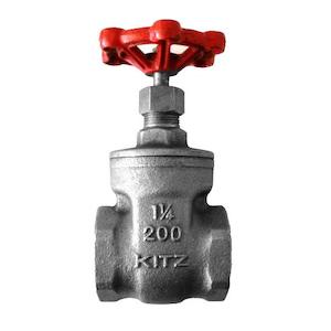 Valves: Stainless Steel Gate valve