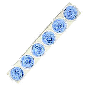 Products: Preserved Roses Blue Fast NZ Delivery All InSeason