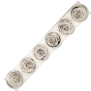 Products: Preserved Roses Gray Fast NZ Delivery All InSeason