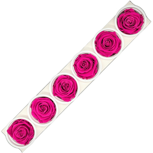 Products: Preserved Roses 6 pack Hot Pink Fast NZ Delivery All InSeason